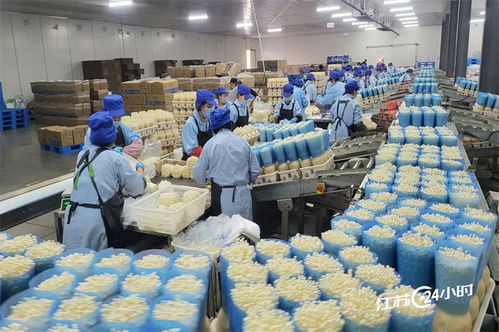 從工廠到餐桌 工廠化種植食用菌引領農產品零售新變革